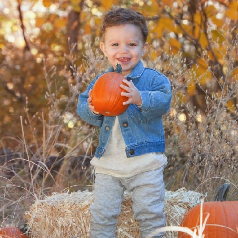 Fall Mini